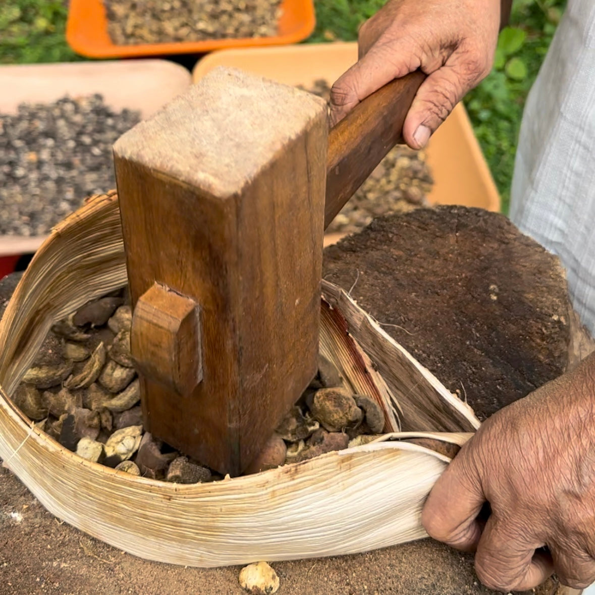 Herby Squeezy Shampoo Preparation 2