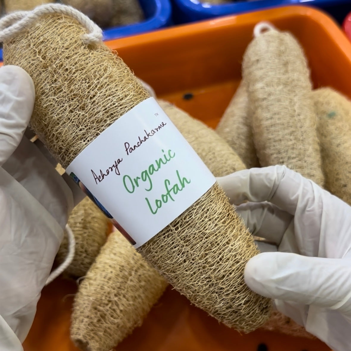 Organic Loofah – Acharya Panchakarma